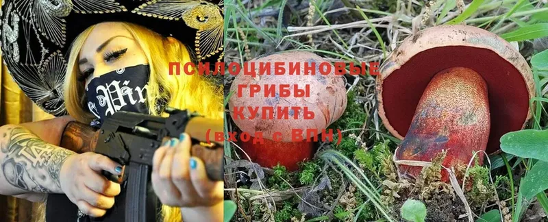 Псилоцибиновые грибы MAGIC MUSHROOMS  где можно купить наркотик  Гороховец 